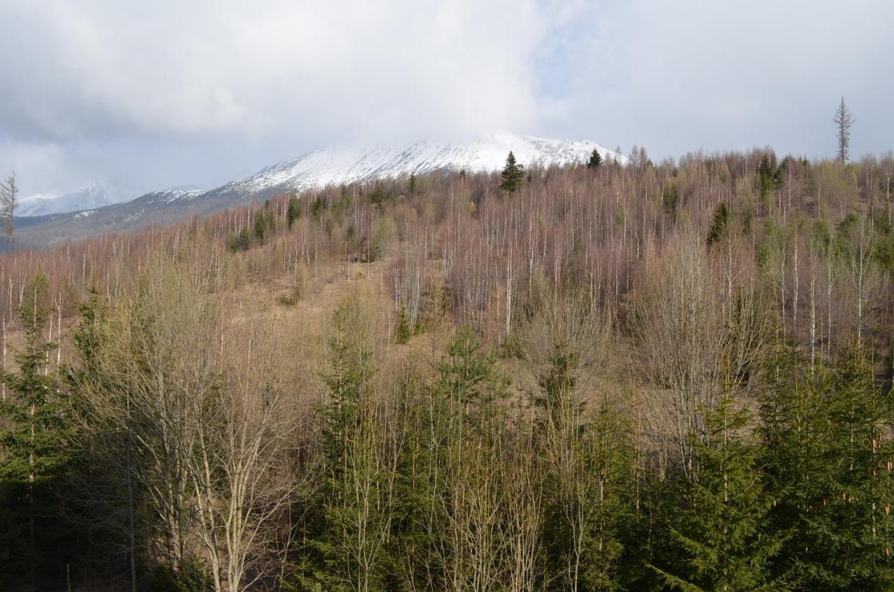 Apartmán LESIA Vysoké Tatry Kültér fotó
